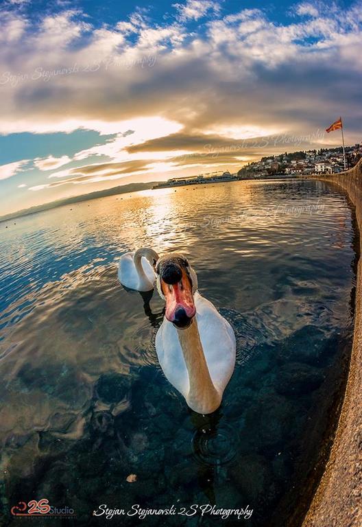New Studio 70M To The Lake Ohrid Exterior foto